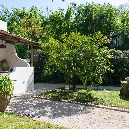Villa De Vivo Realty - Gilu In Sorrento Coast *