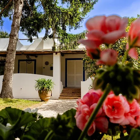 Gilu - De Vivo Realty